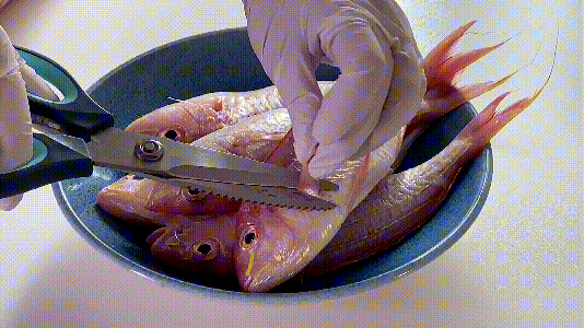 ⭐️香煎金线鱼⭐️的做法 步骤1