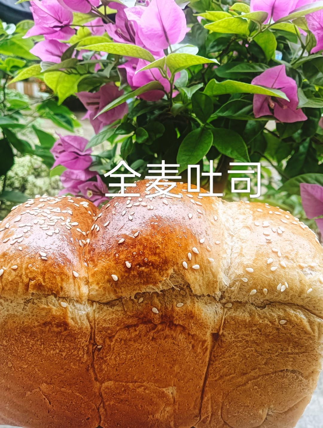 夺命软吐司(๑´ڡ`๑)超软拉丝极速方便的一次发酵吐司