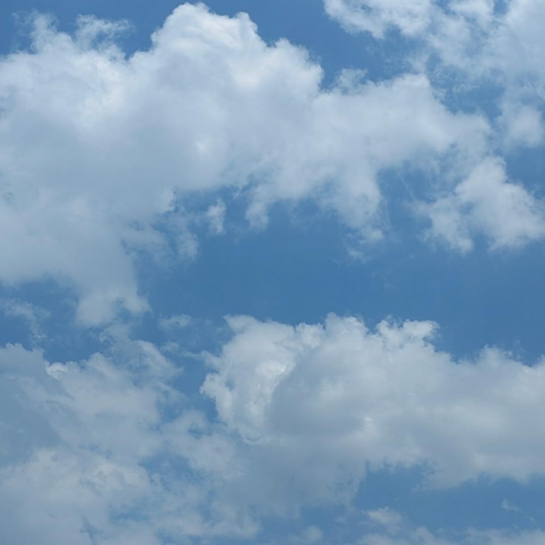 喜欢做但不喜欢吃