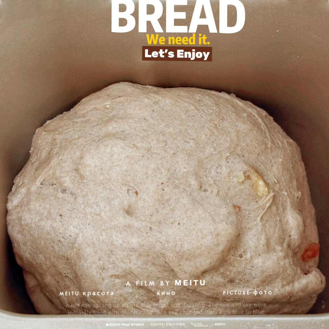 增肌减脂期100%全麦吐司面包机版 无糖河套全麦粉 超快手懒人版 越吃越瘦