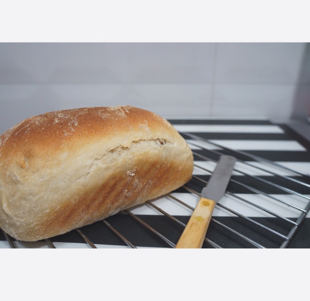 免揉迷你吐司（藤田千秋）