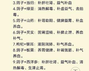 鸽子汤的做法 步骤8