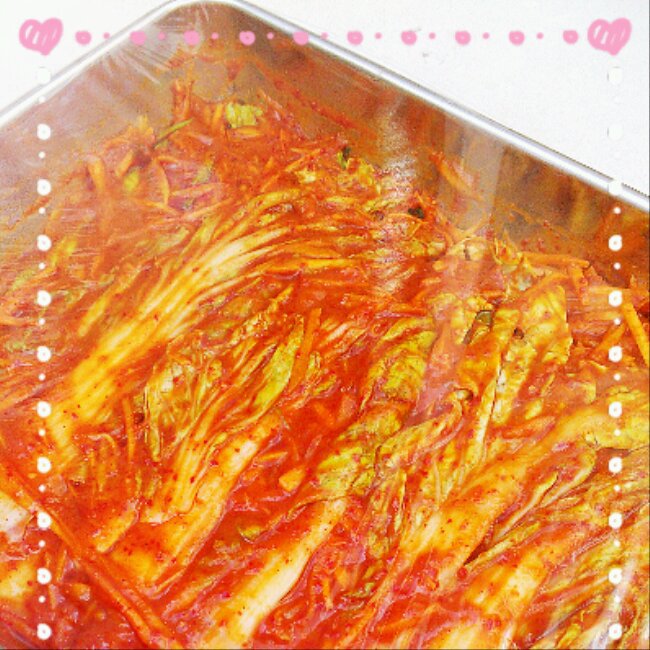 韩国泡菜