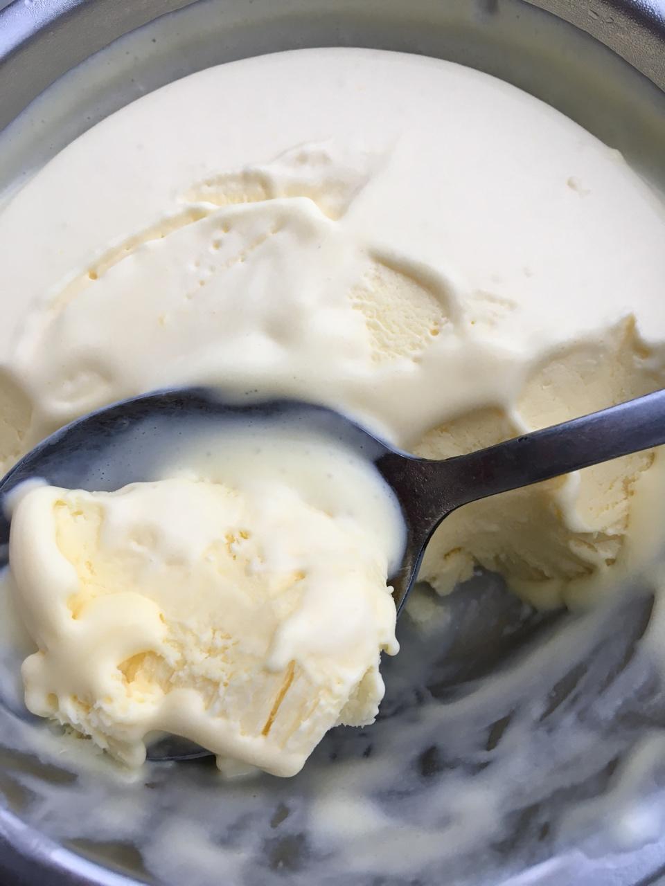 朗姆黑加仑冰淇淋 Rum Raisin Ice cream
