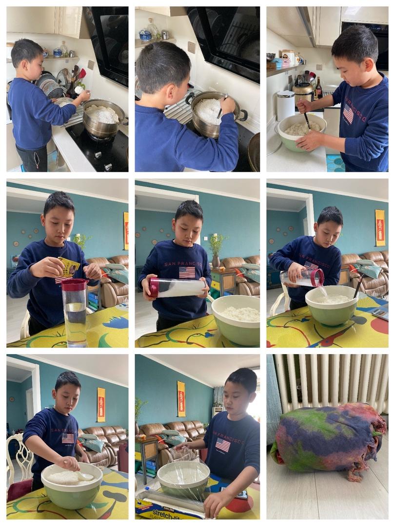 酒酿 (酒酿系列一）