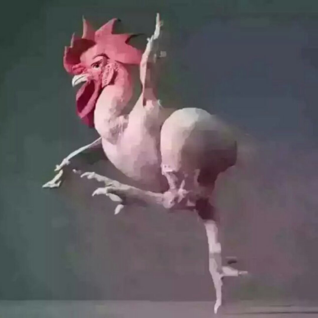 呲牙咧嘴向前冲