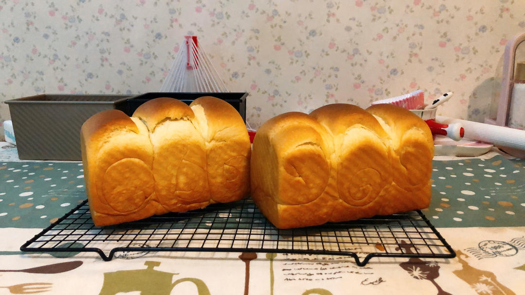 🌟只需一发的软妹子🌟奶香吐司🍞