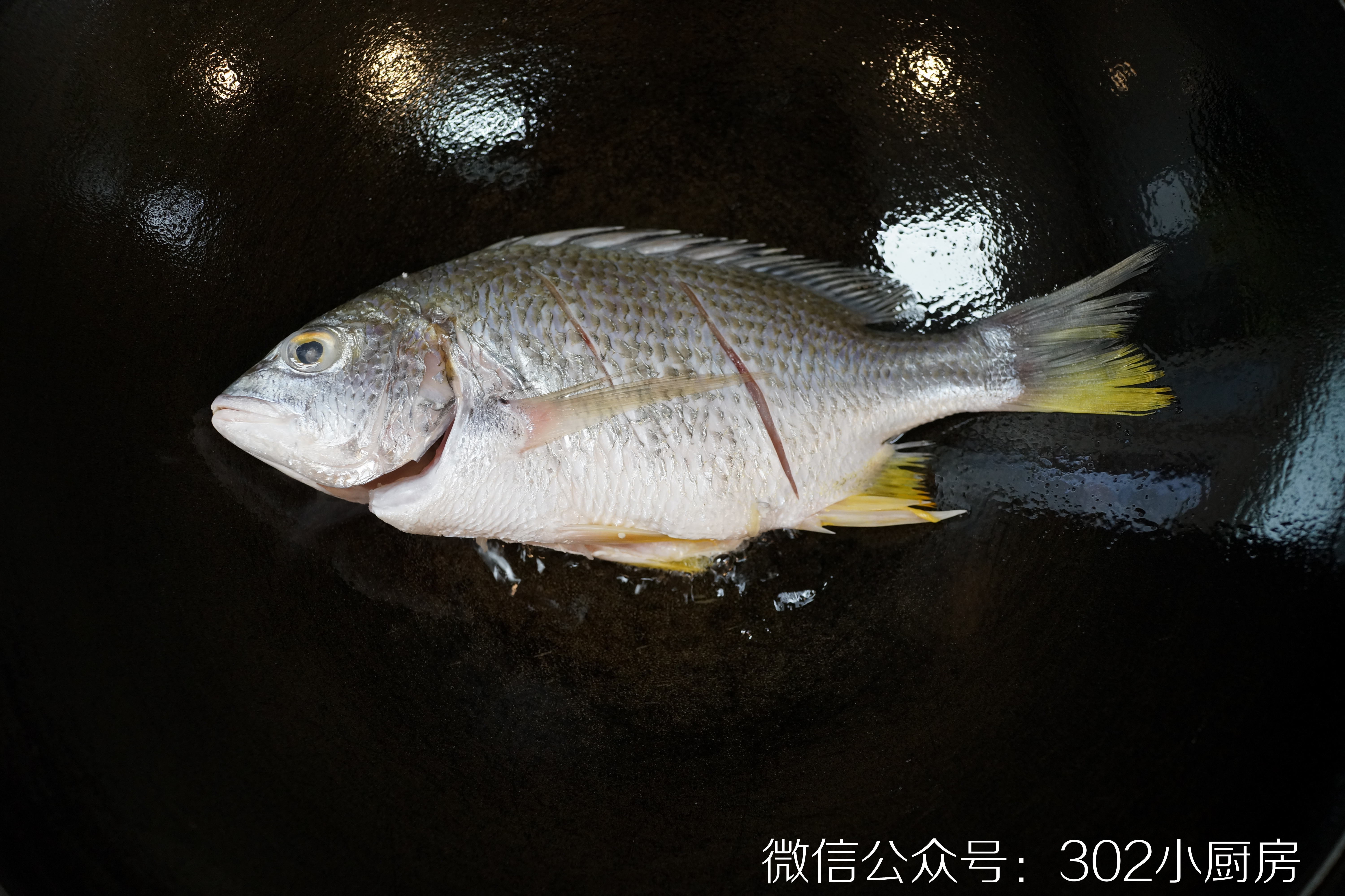 【0732】干煎黄翅鱼（黄鳍棘鲷）  <302小厨房>的做法 步骤12