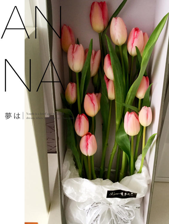 番茄玫瑰花