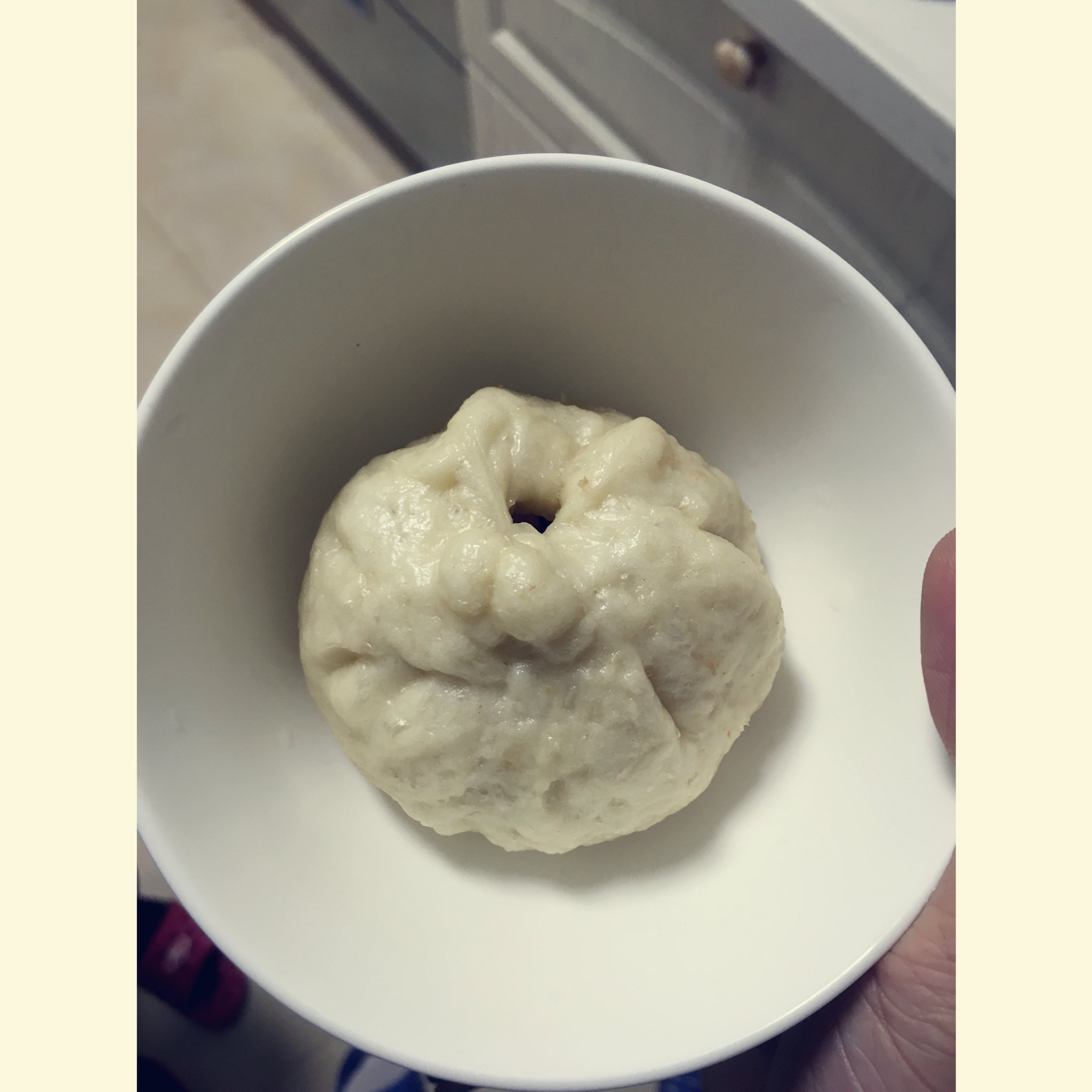 家庭手工肉馅大包子