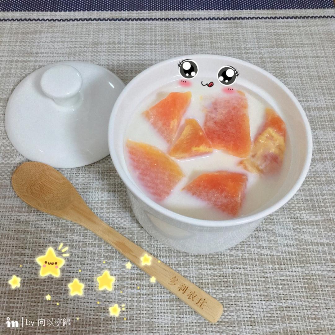 木瓜炖牛奶