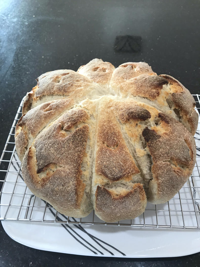 Sourdough 简单地道的酸面包-用自家做的酸面包酵母种做