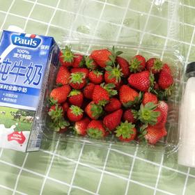 网红草莓鲜牛乳｜草莓牛奶