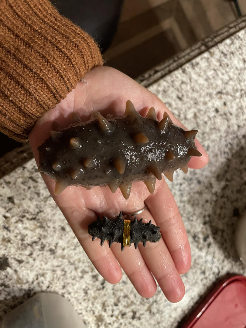 百分之百泡海参成功