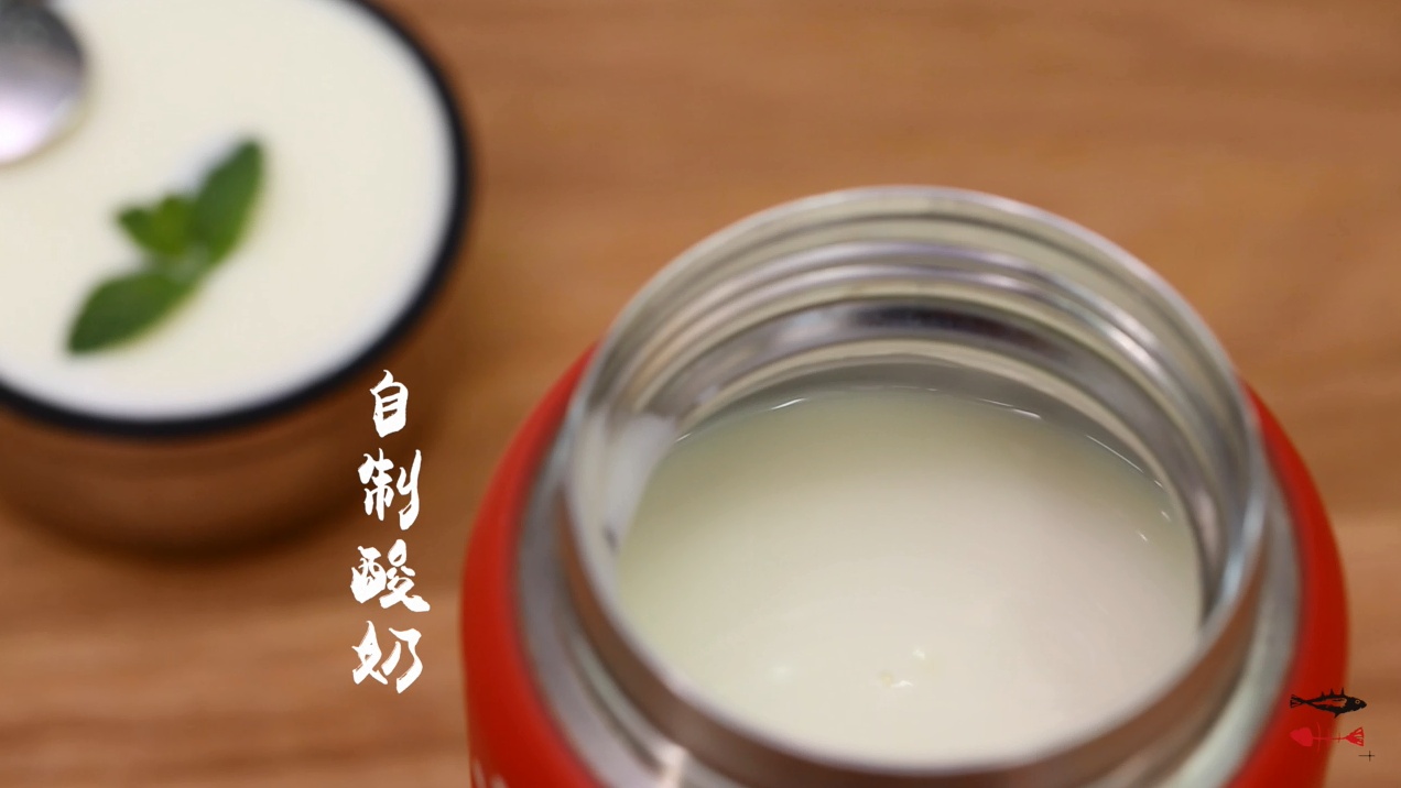 焖烧罐食谱系类——自制酸奶的做法