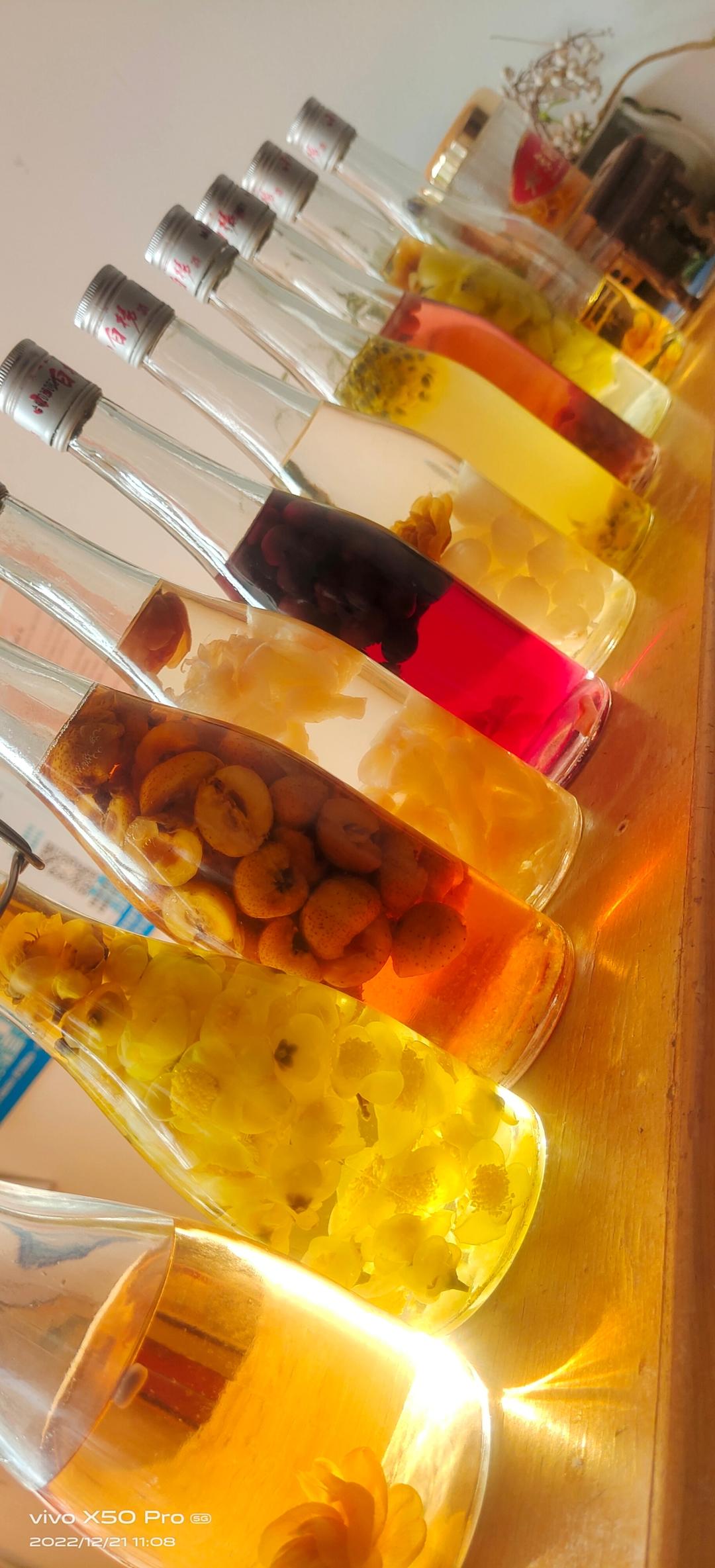 自制缤纷水果酒