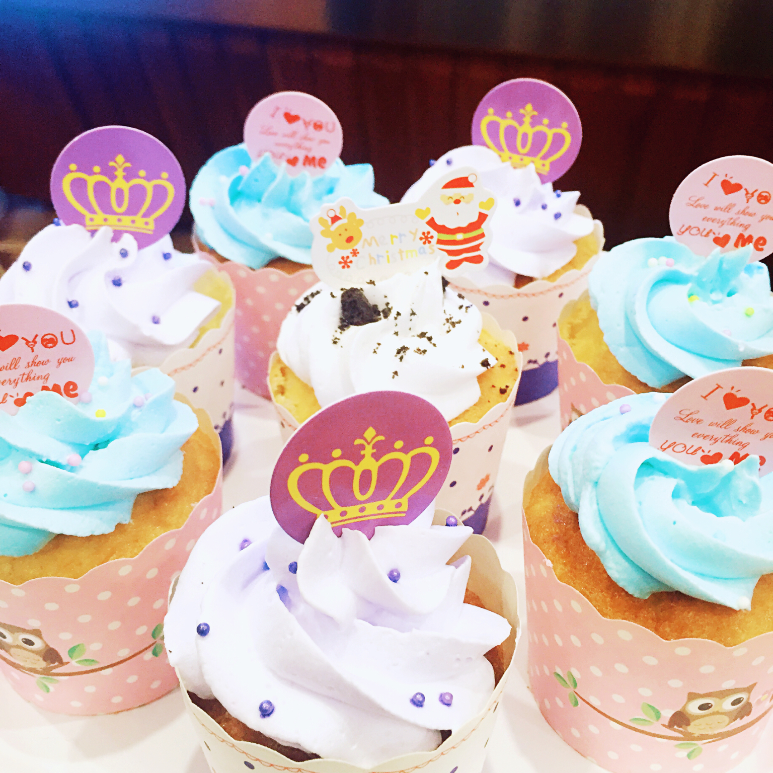 不会回缩的纸杯蛋糕--海氏烤箱定制