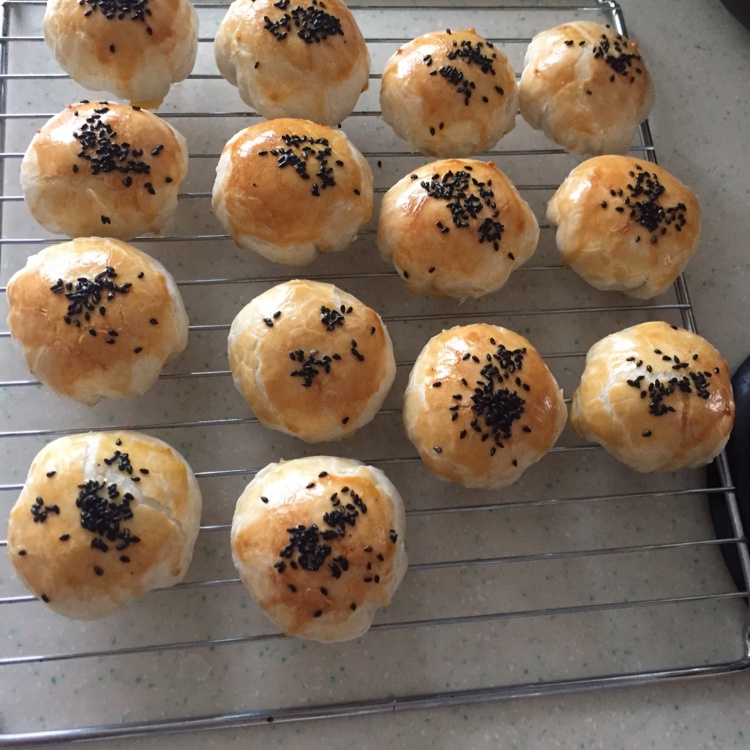 泳式鲜肉榨菜月饼