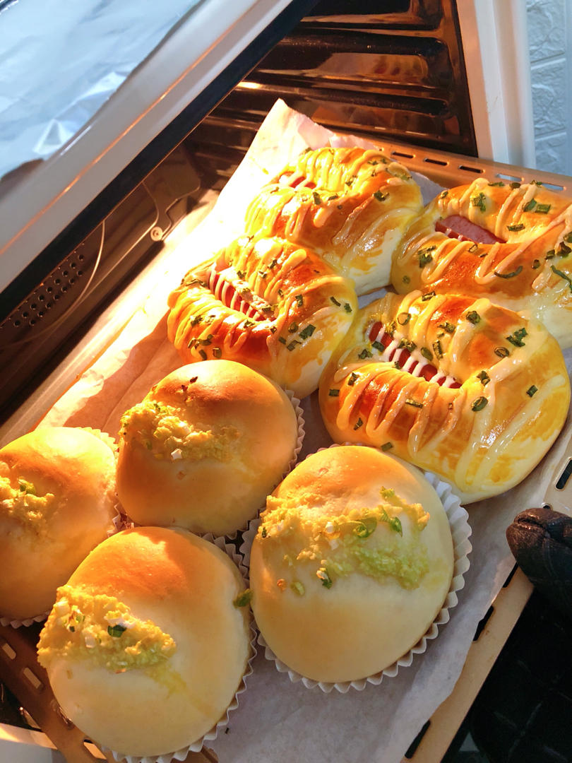 汉堡胚（中种法）