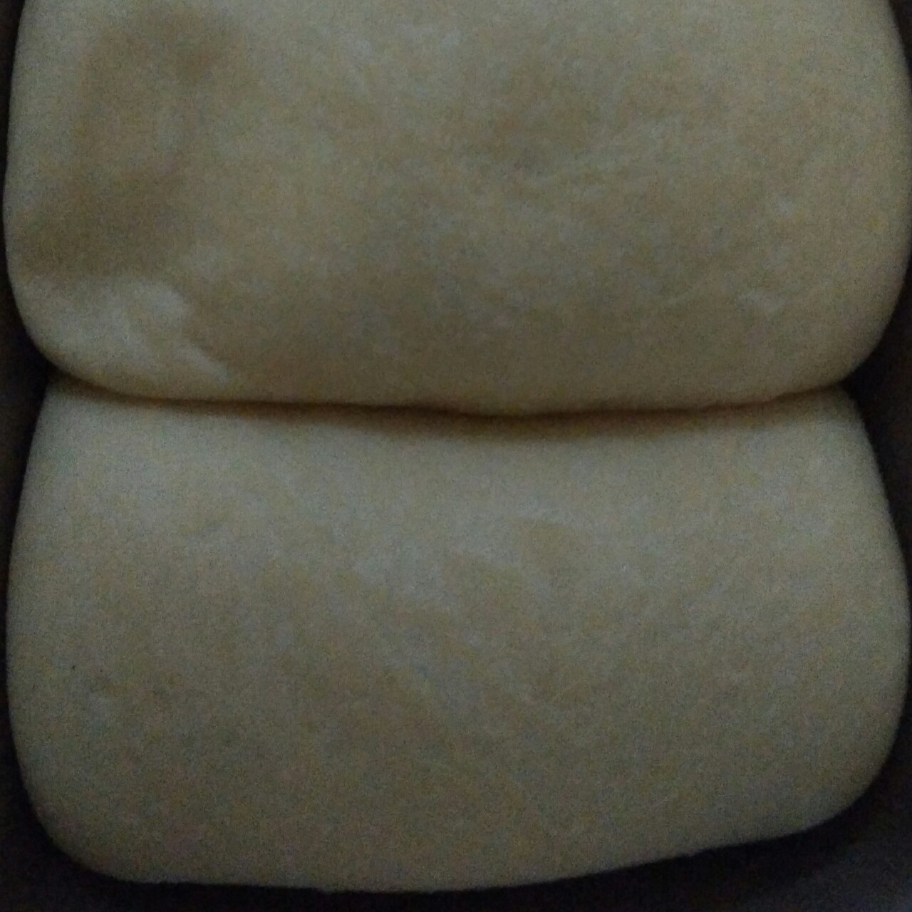 夺命软吐司(๑´ڡ`๑)超软拉丝极速方便的一次发酵吐司
