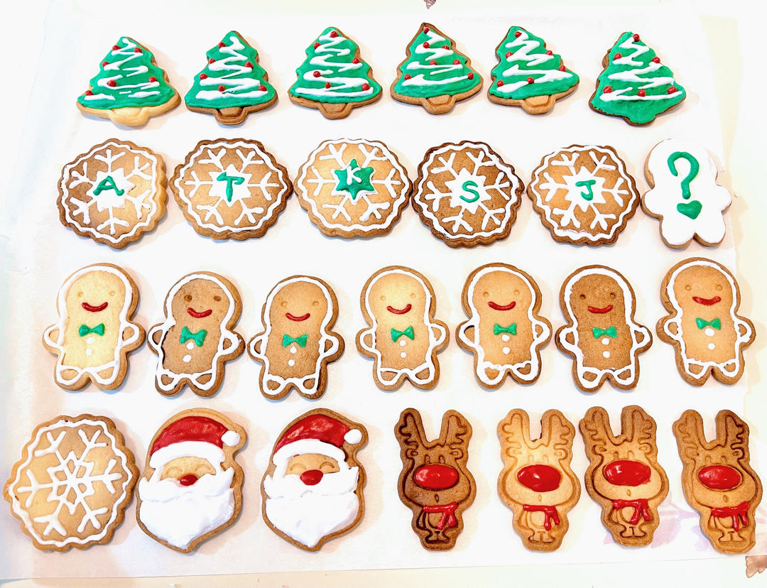 糖霜饼干胚翻糖饼干胚