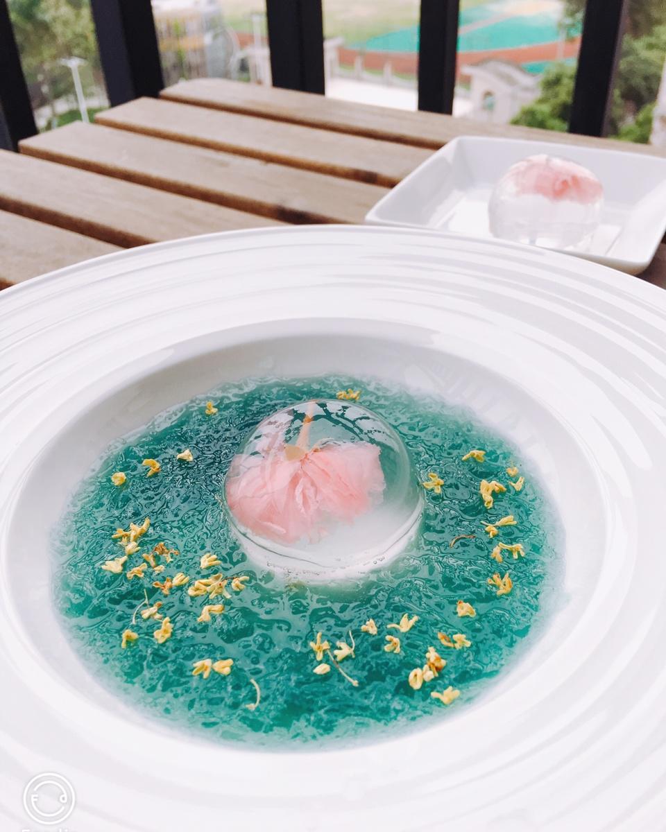 花式燕窝 花容月貌