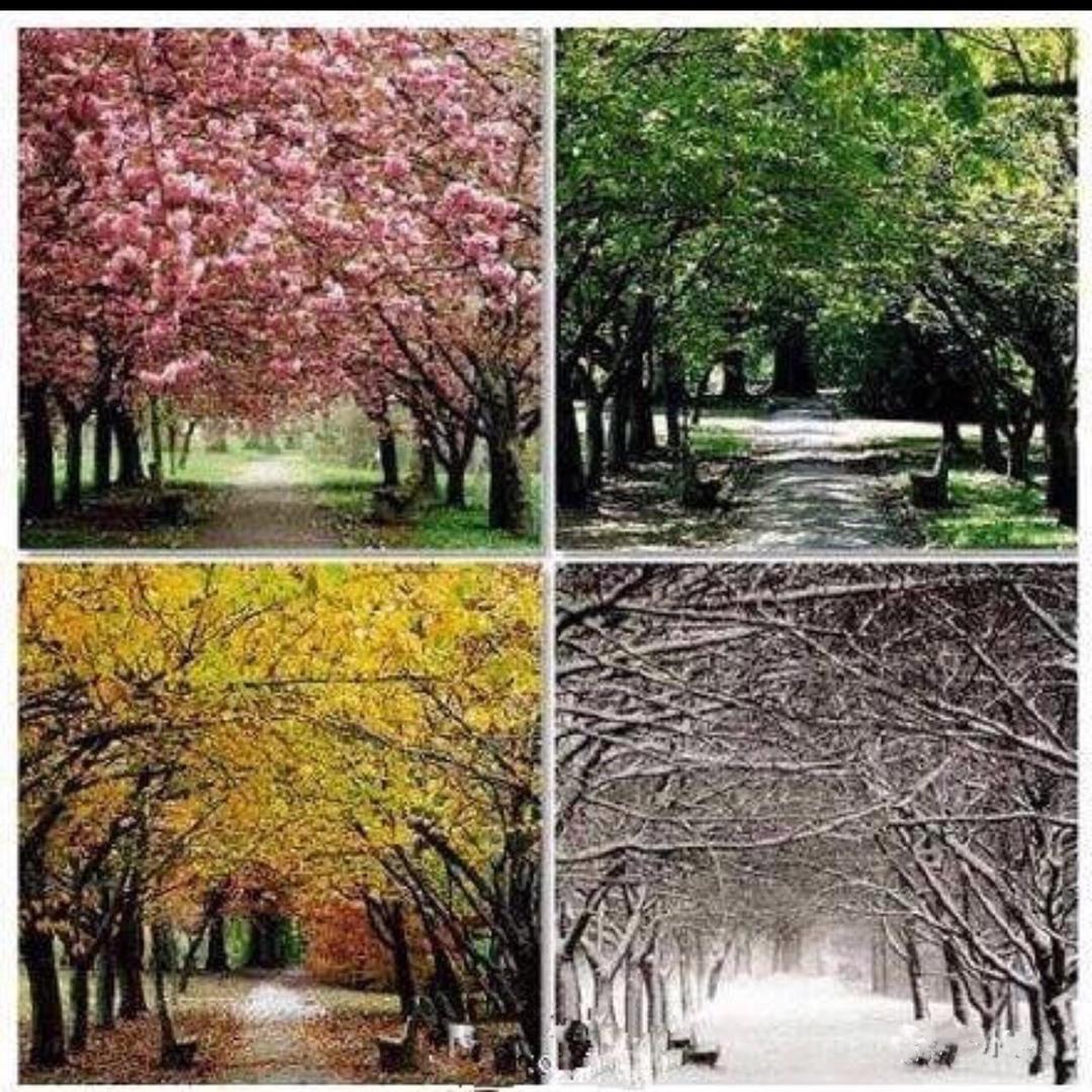 春夏秋冬又一年呢