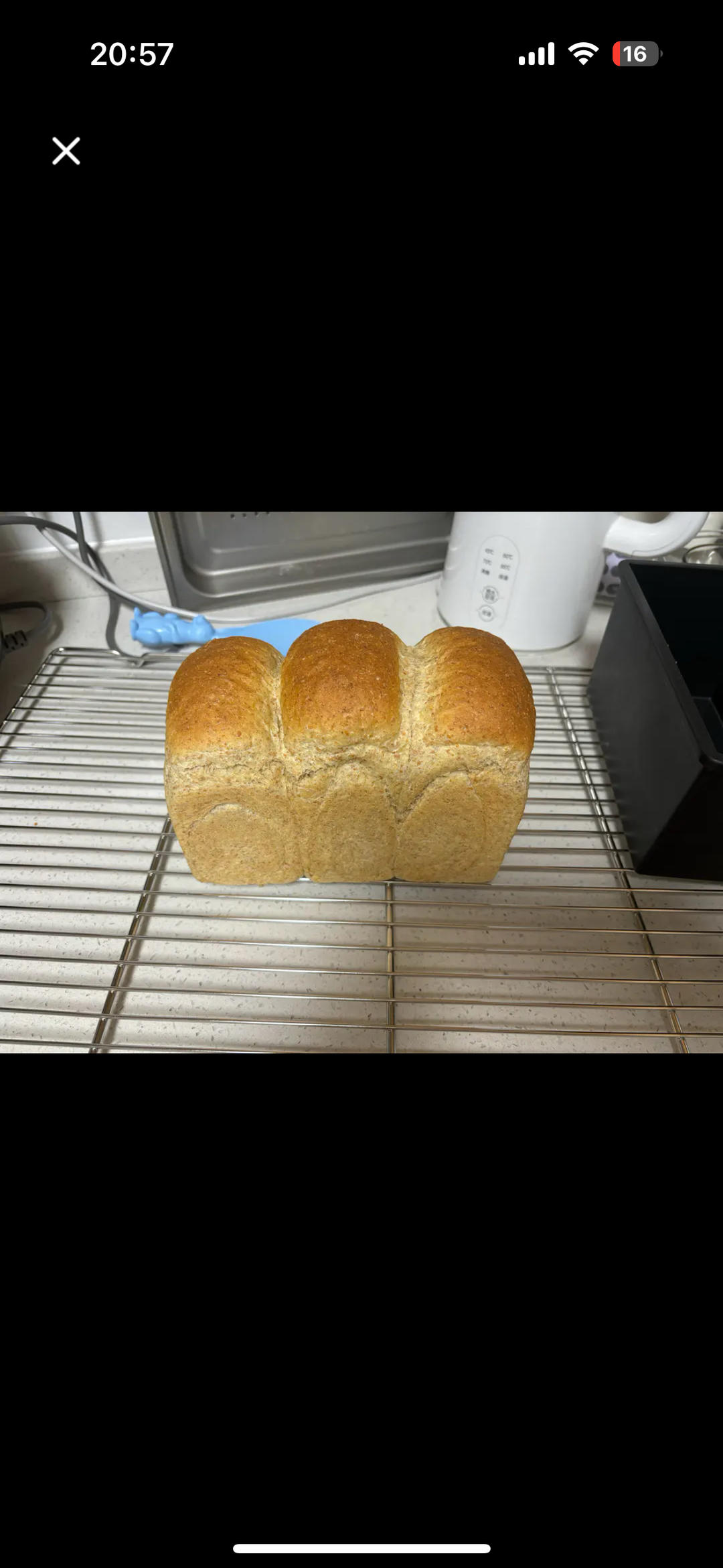 【有奖跟做】70%全麦吐司🍞（烫种➕波兰种）