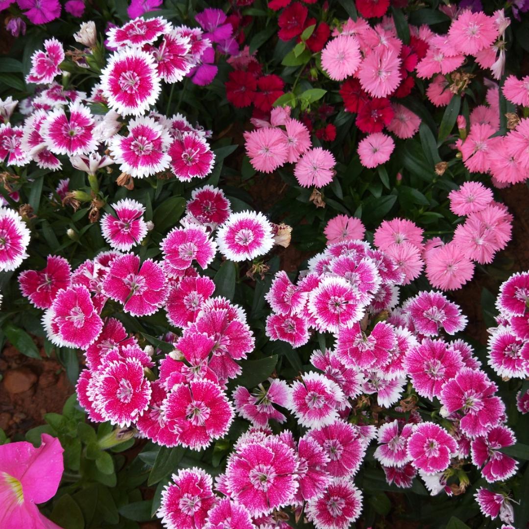 斌辉怡