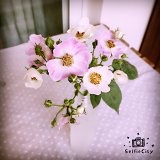 灿烂的烟花