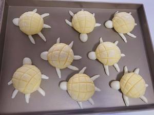 超级可爱的小乌龟菠萝包的做法 步骤11