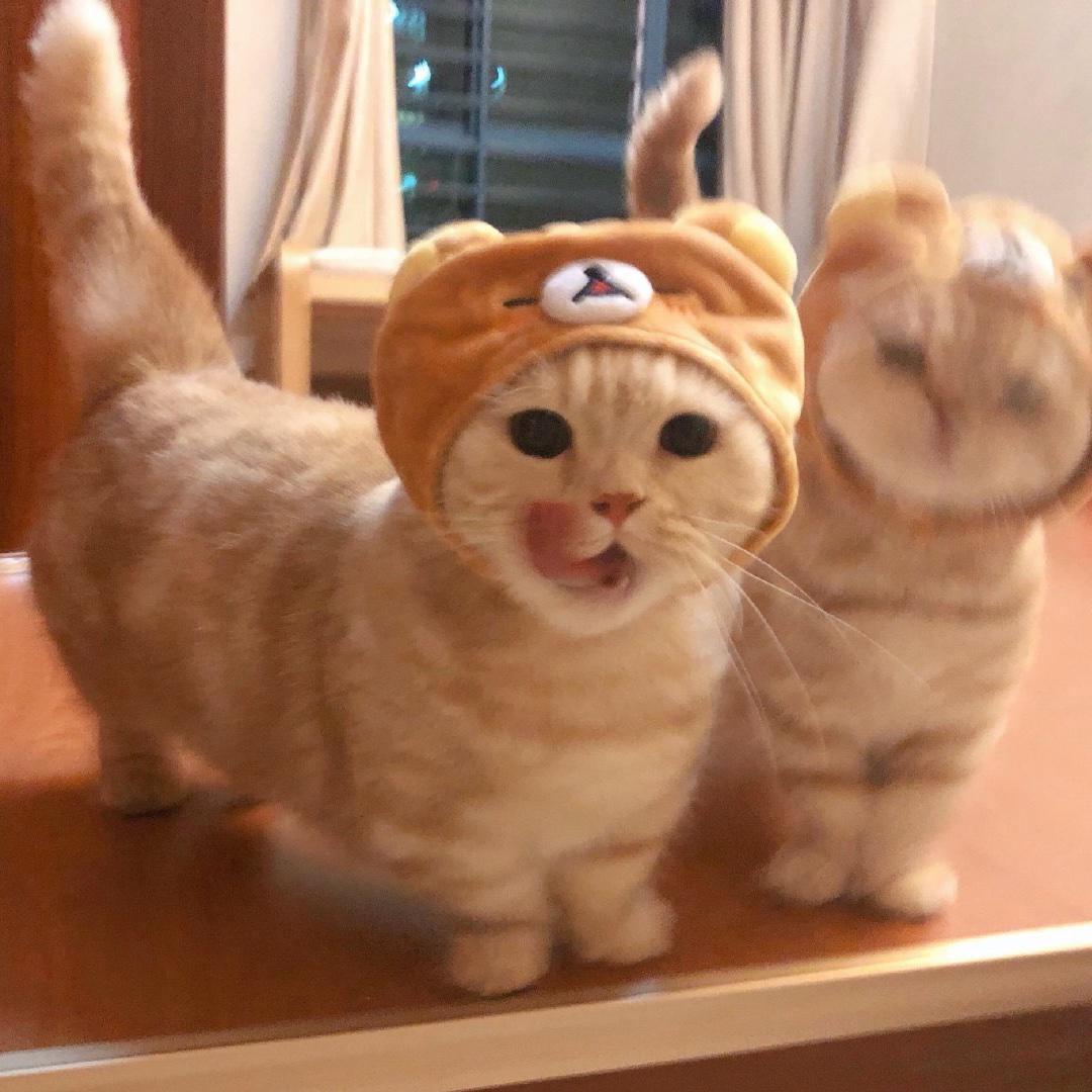 Y7Y