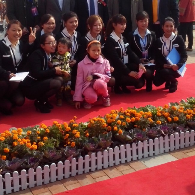 一1266870935865883655