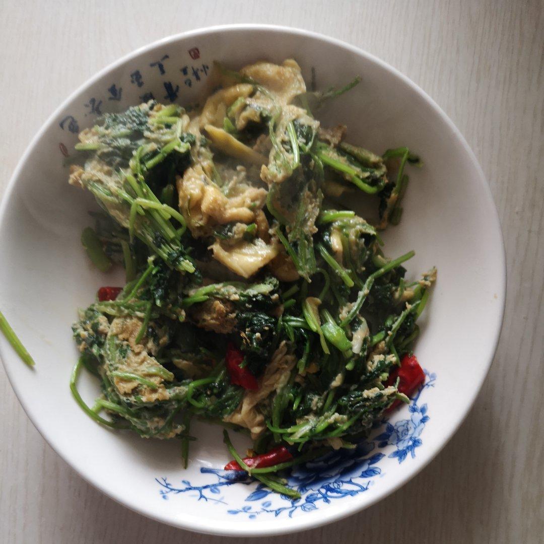 回归食物本身做的75五分钟素炒菜75香菜炒鸡蛋75那叫一个好吃