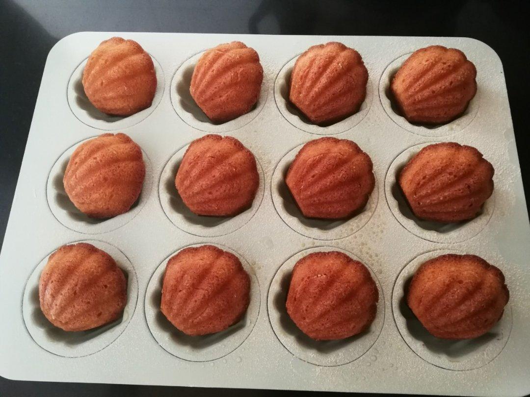 玛德琳（蓝带方）