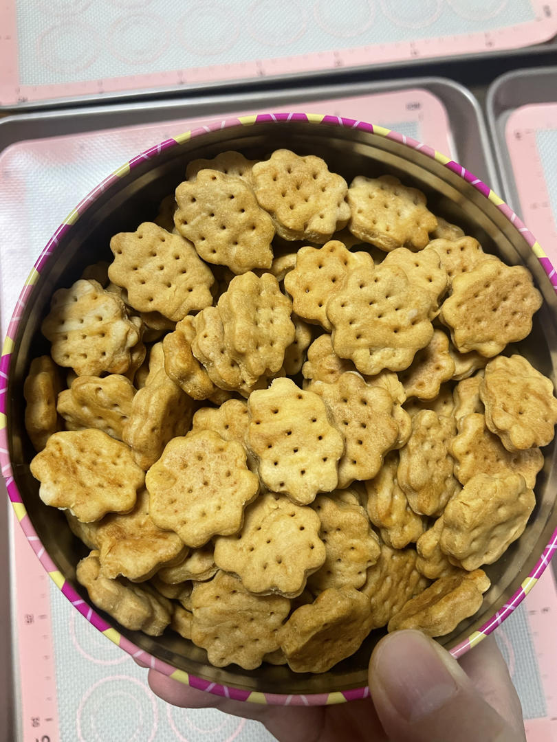 「简约纯净」苏打咸香小饼干