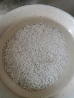 松子核桃米浆的做法 步骤2