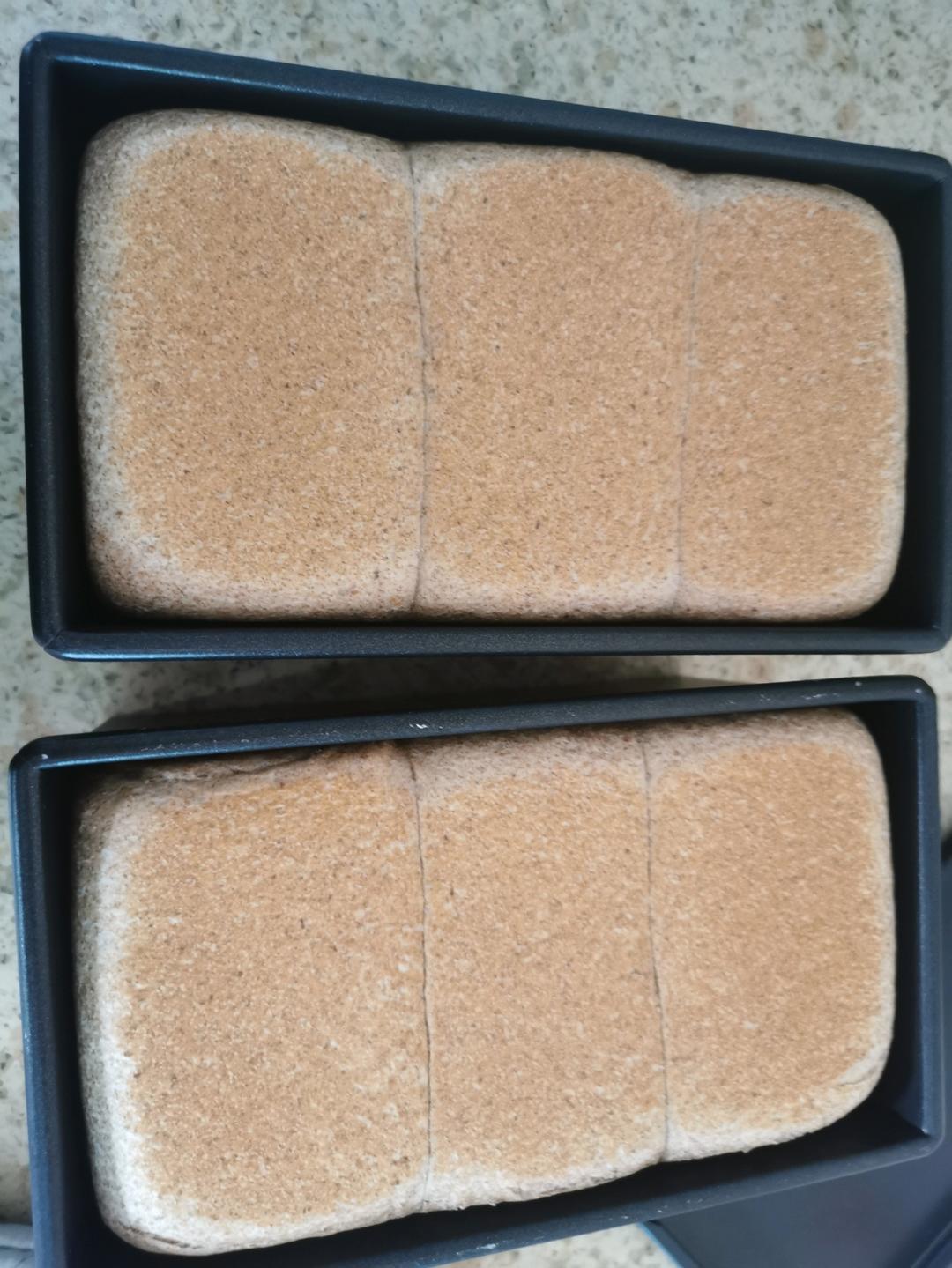 🍞低卡50%全麦吐司面包｜烫种法｜柔软拉丝｜减肥减脂必看