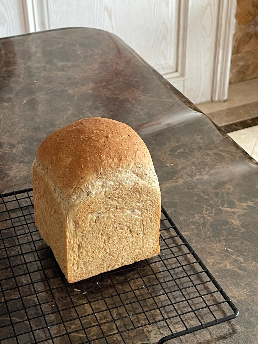 全麦波兰种水立方吐司