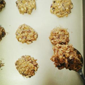 全麦五谷（果干）饼干（5 Grain Cookies）的做法 步骤7