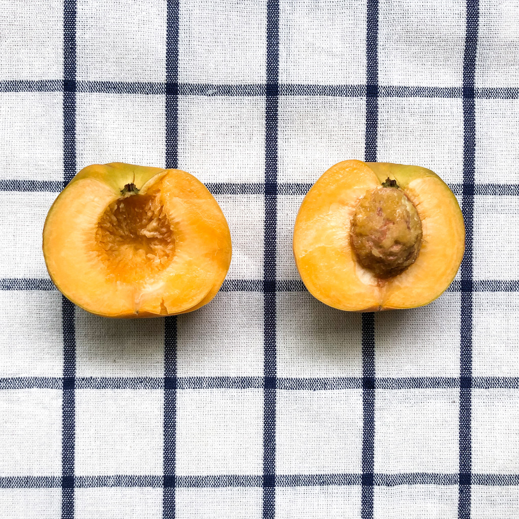 吃桃星人看过来，学会这招过季不怕没桃吃的做法 步骤3