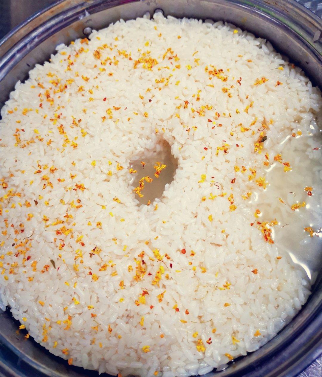 酒酿 (酒酿系列一）