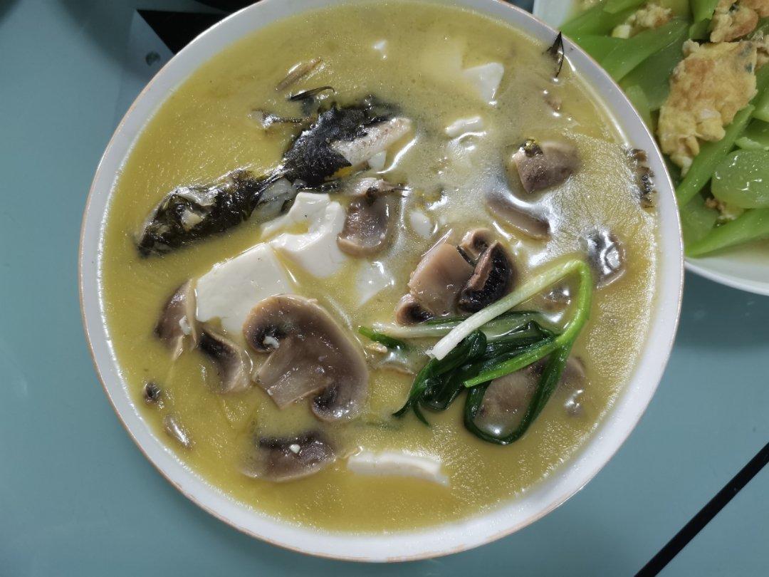 昂刺鱼豆腐汤