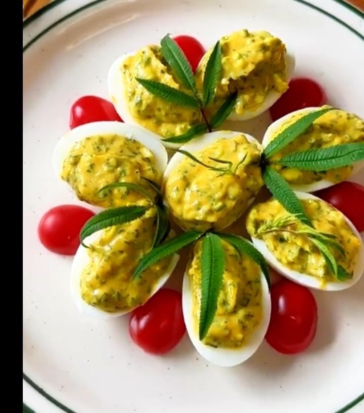法式小吃  含羞草蛋eggs mimosa