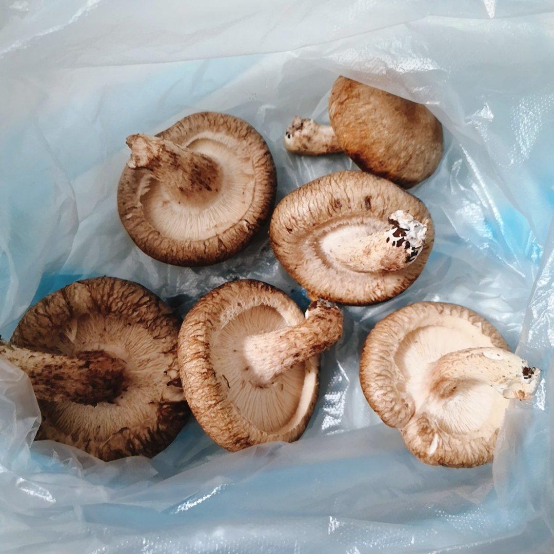 新鲜香菇的保存