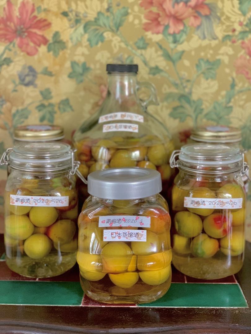 青梅酒（优的春日私酿第二話）