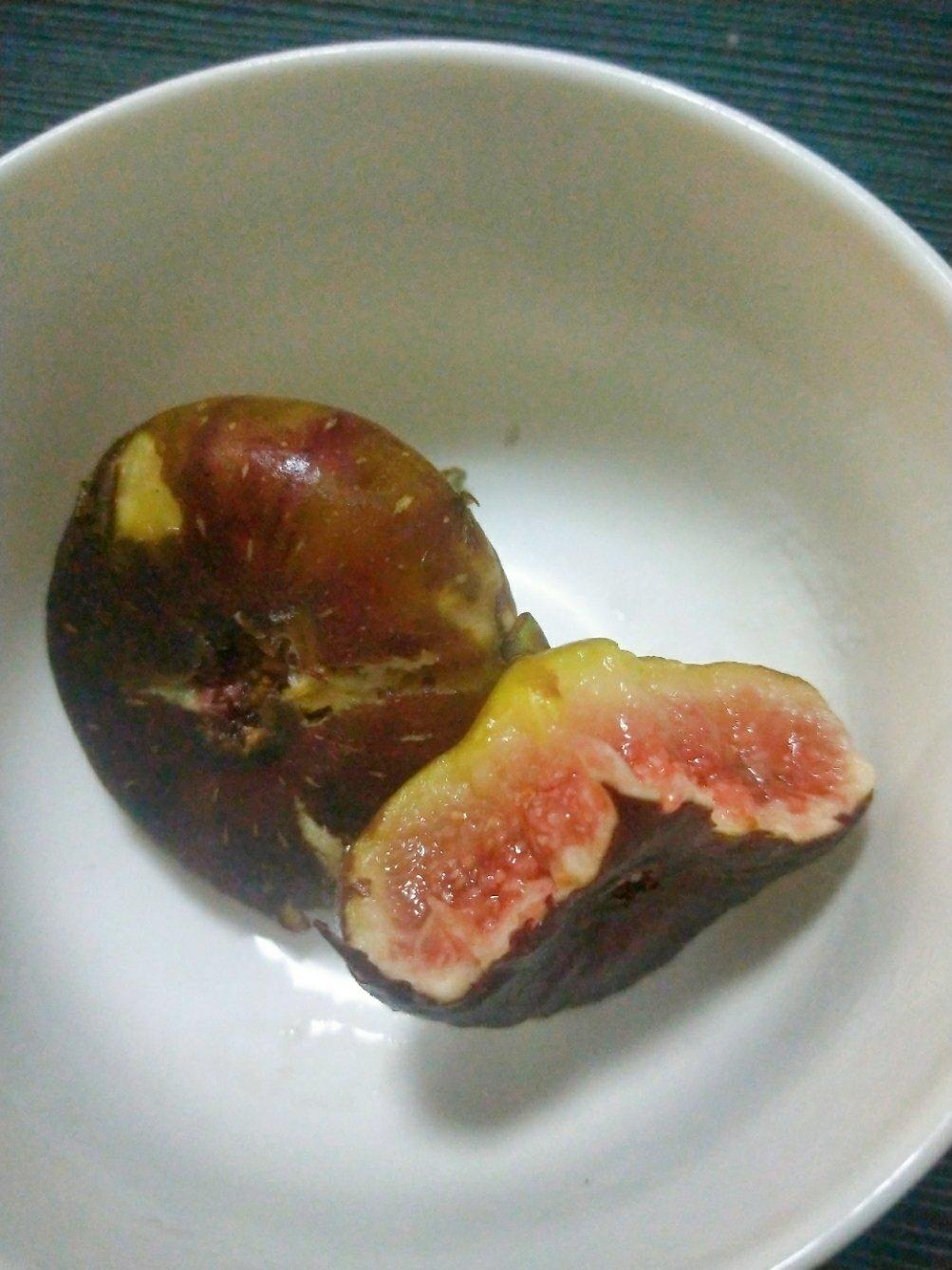 冰冻无花果