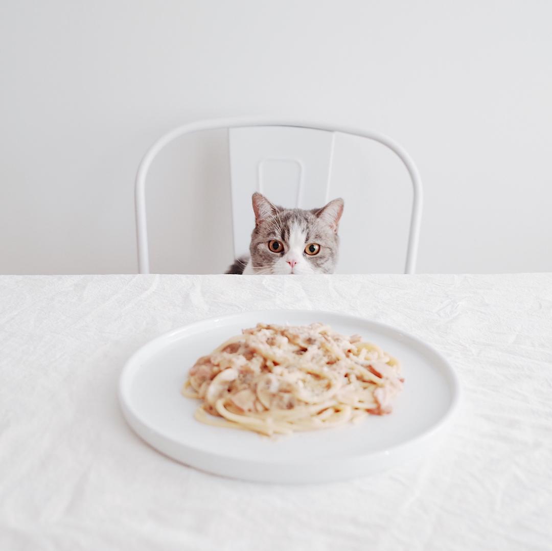 白蘑菇奶油培根意面