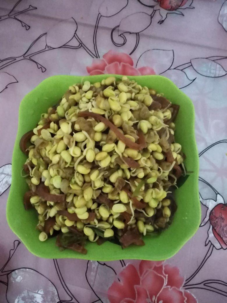 自制黄豆芽
