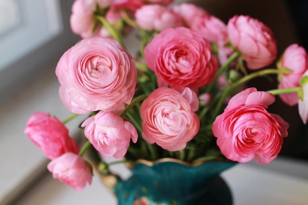 生活中的小确幸……